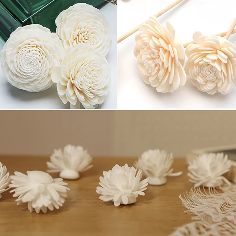 9PCS/lot Flower Aromatherapy R - Home Fragrance Stick recensione e prezzo