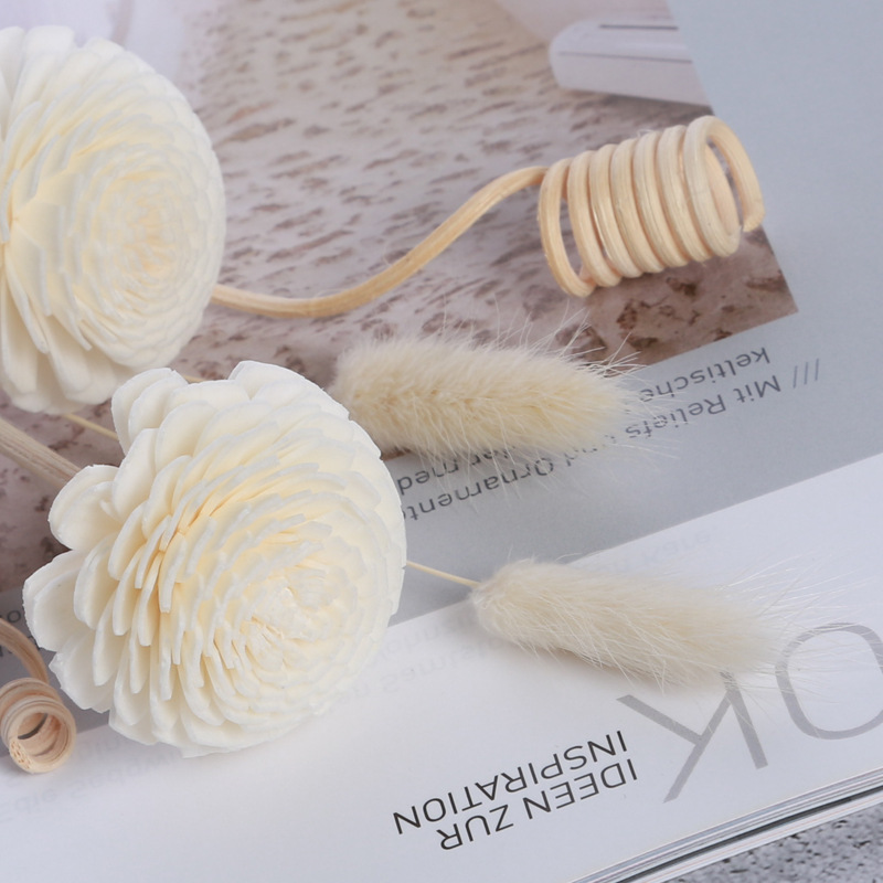 9PCS/lot Flower Aromatherapy R - Home Fragrance Stick recensione e prezzo