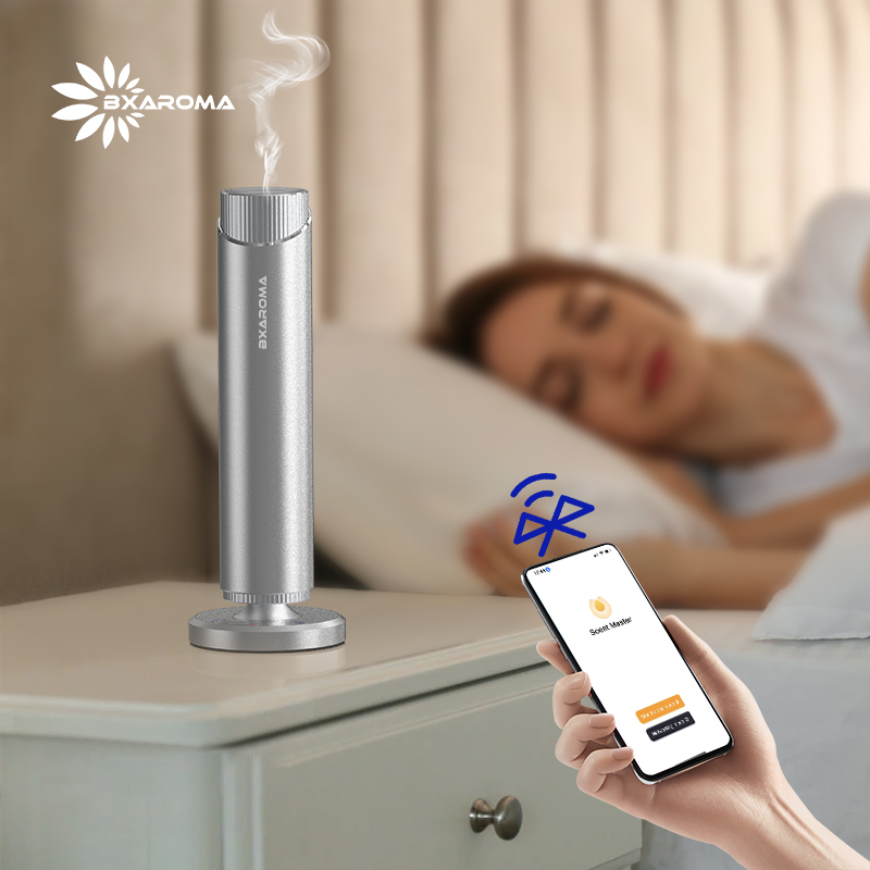 Silver Aromatherapy Essential  - Home Fragrance Market recensione e prezzo