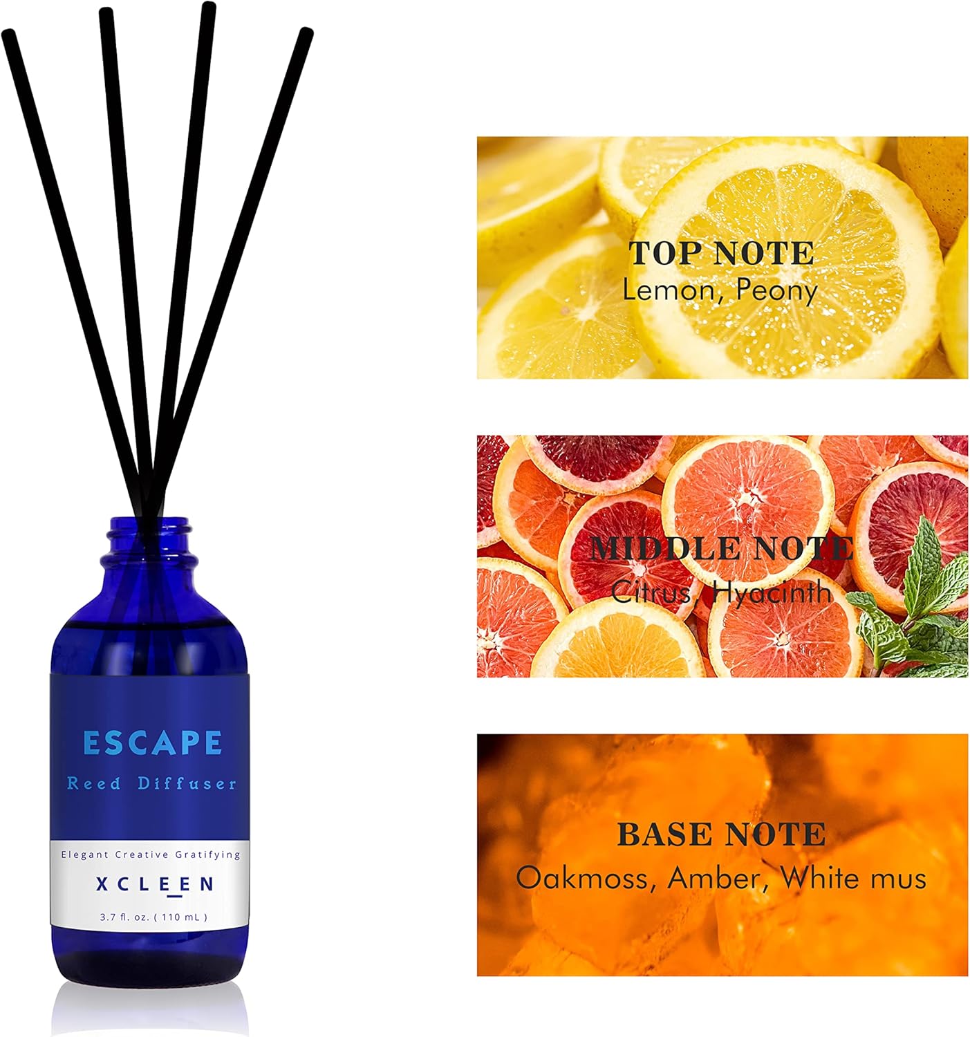 Reed Diffuser Set 3.7oz, Home  - Home Fragrance Stick recensione e prezzo