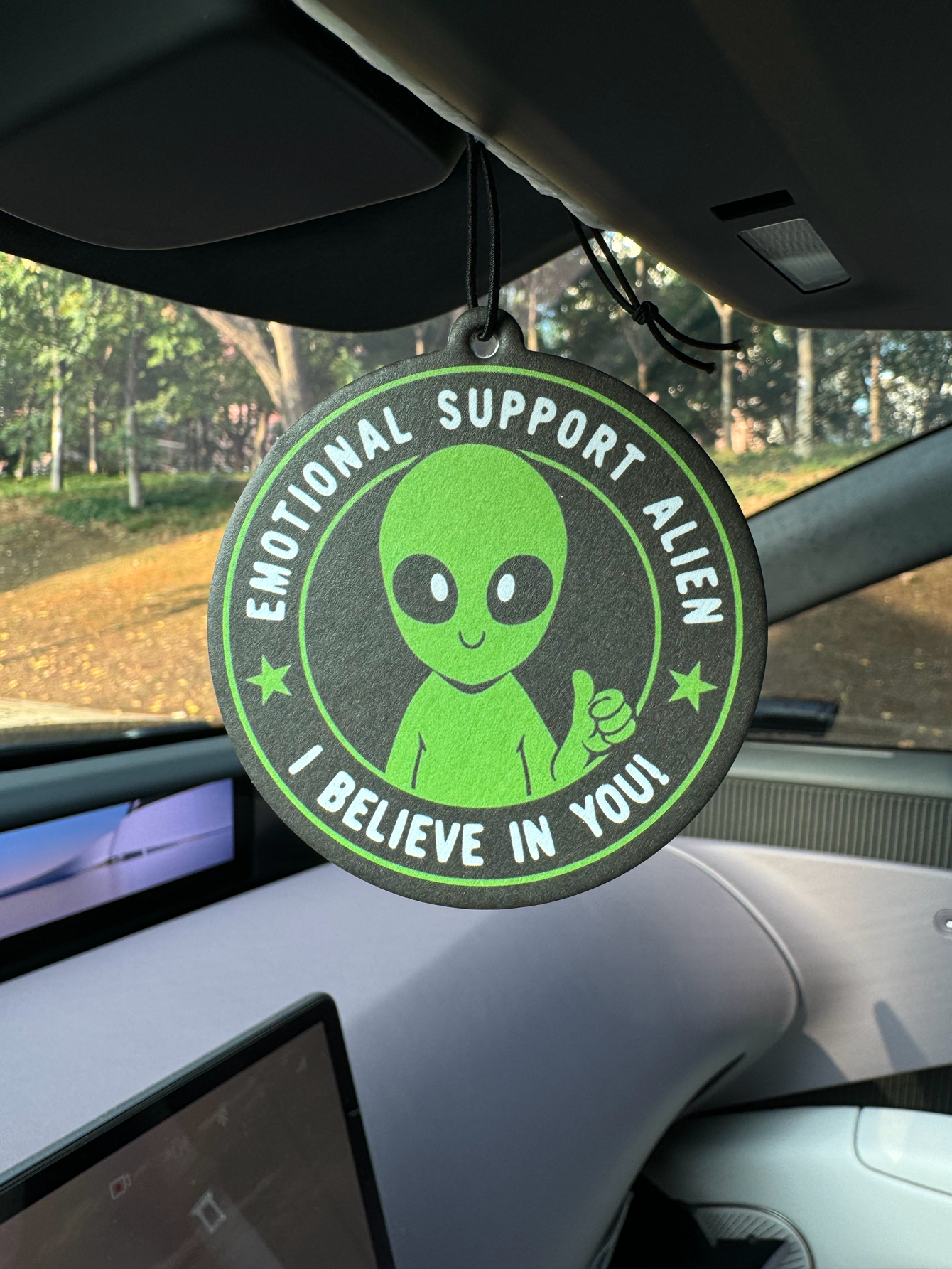 Emotional Support Alien Alien  - Home Fragrance Perfume recensione e prezzo