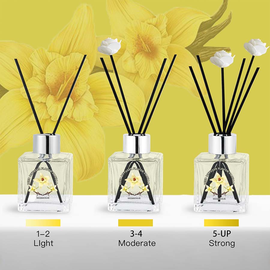 Flower Reed Diffuser-Vanilla S - Home Fragrance Vanilla Reed Diffuser recensione e prezzo